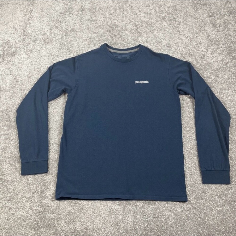 Patagonia Blue Short Sleeve Tee with Mountain Graphic - Picture 2 of 12